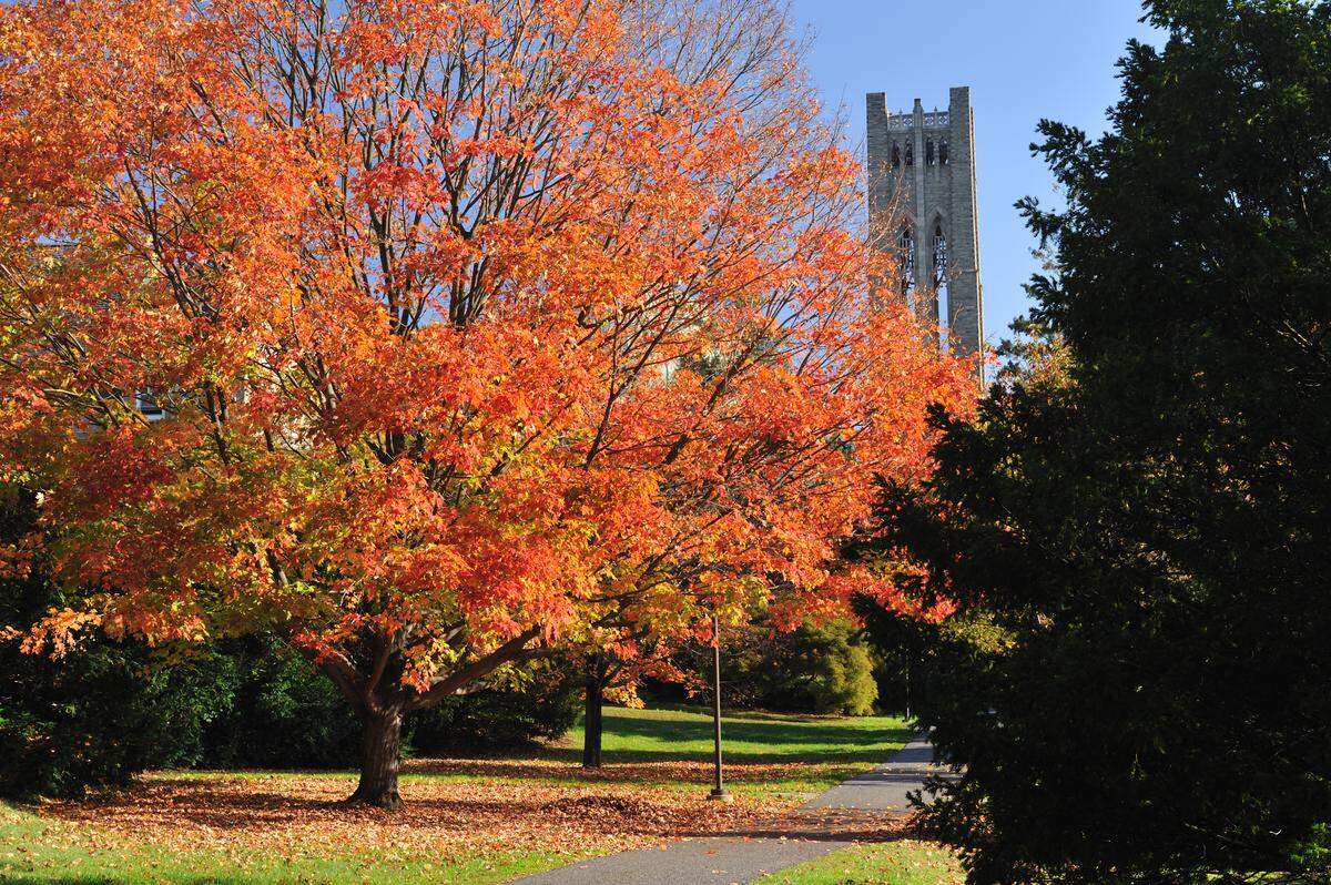 Swarthmore College’s campus is seen in this file photo.