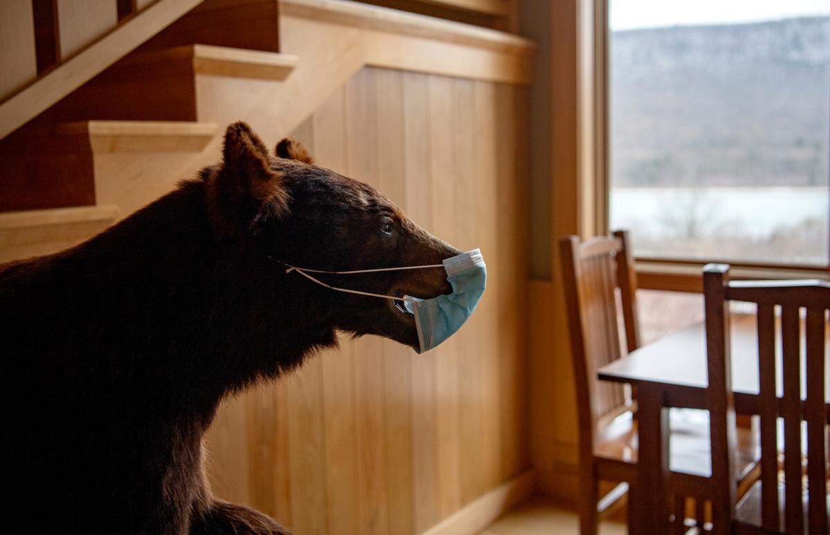 A bear in the hallway of The Nature Inn at Bald Eagle State Park sports a mask to remind guests to wear masks when not in their rooms.