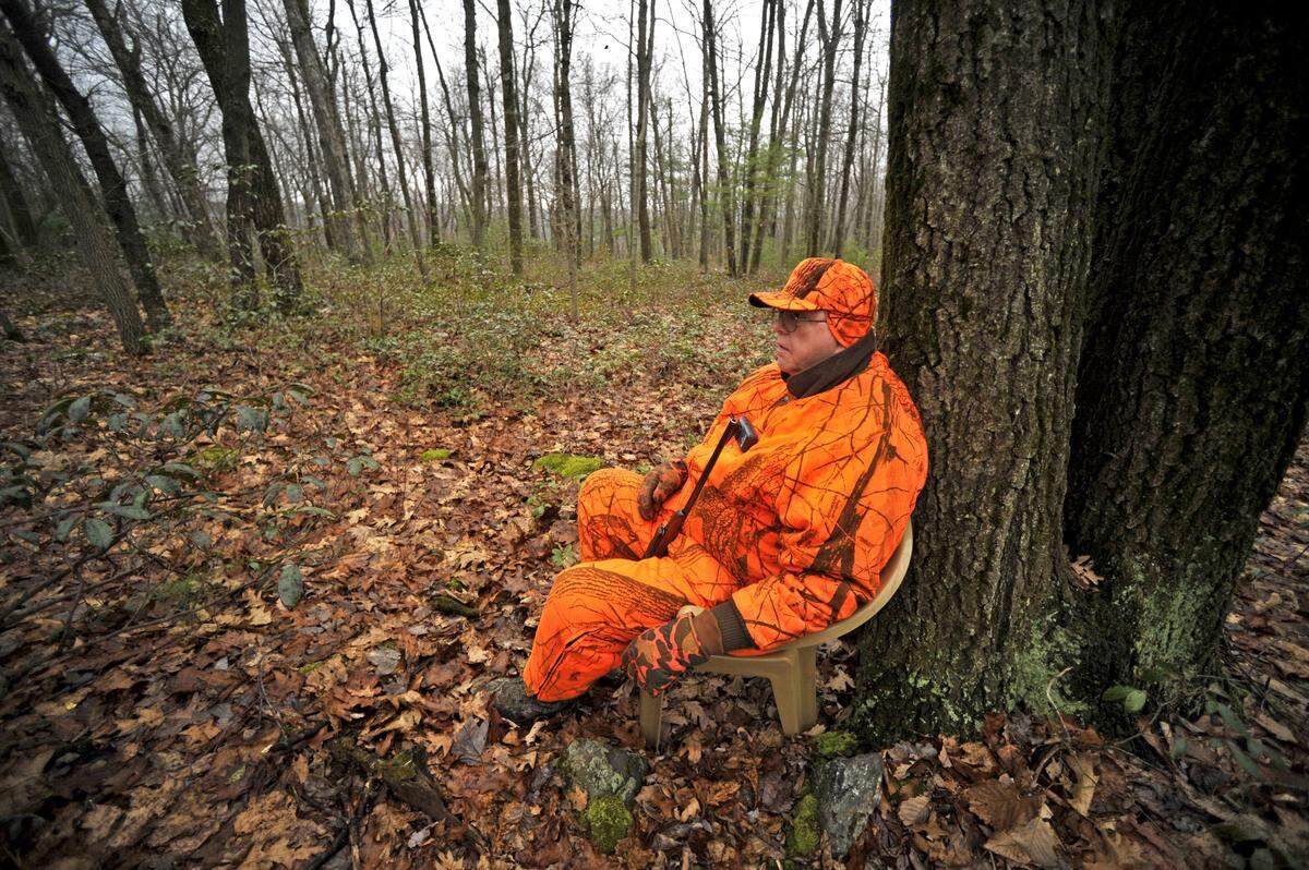 Gene Romig of Lock Port, N.Y.., looks for deer in Rothrock State Forest on Dec. 1, 2014. A minimum of 250 square inches total of fluorescent orange is required to be worn on the head, chest and back in 360 degrees while hunting during deer firearm season.