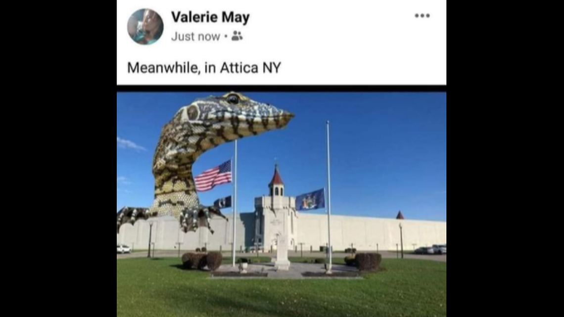News that a monitor lizard is loose in the Village of Attica, New York, has inspired a lot of jokes and memes on social media in the past few days.