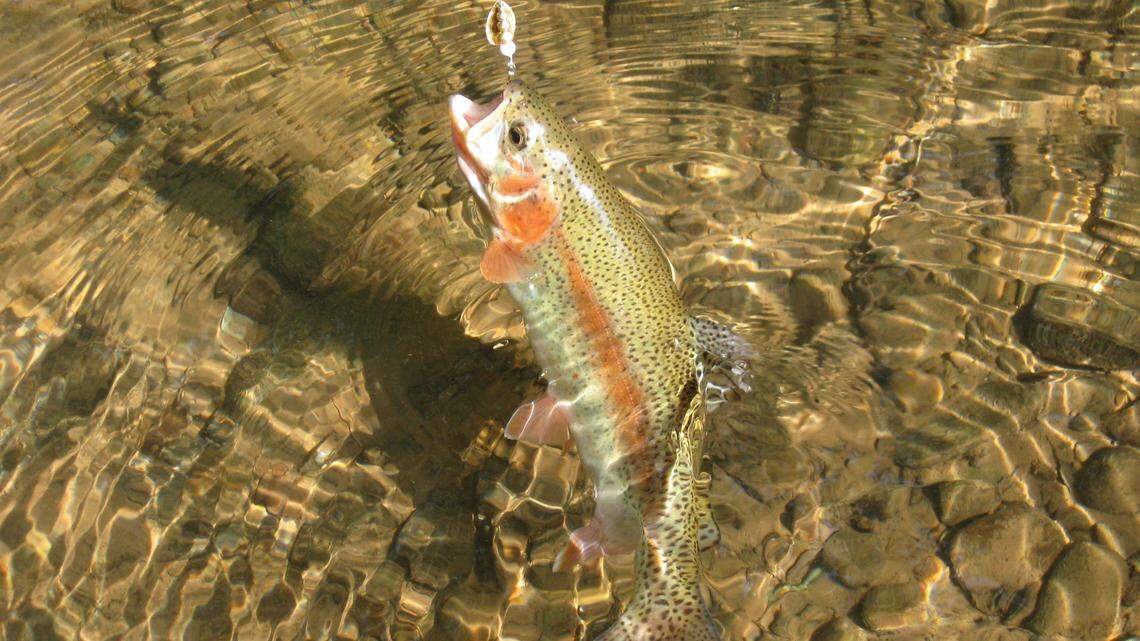 Afield: How to make the most of trout season opening day in Pennsylvania