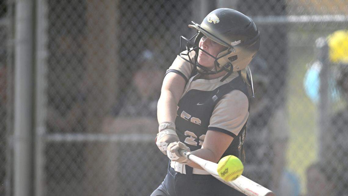 First round of PIAA baseball, softball playoffs: See scores from Centre County teams