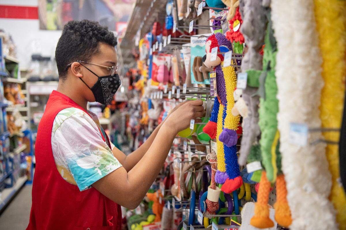 William Francis restocks the dog toys at Tractor Supply Co. through his internship on Thursday, April 7, 2022.