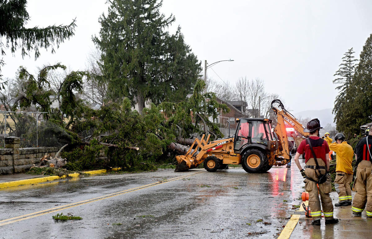 Firefighters and Bellefonte Borough work to clear a tree that came down on the 400 block of East Bishop Street.