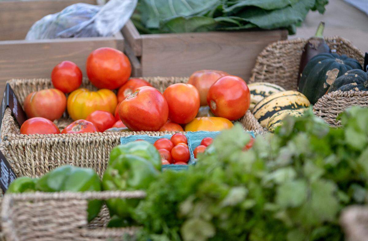The Dr. Keiko Miwa Ross Student Farm at Penn State and Lion’s Pantry have partnered to have a pay-what-you-can farmers market outside of the HUB on Mondays in October to offer affordable produce for students and faculty.