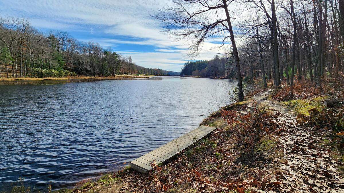 The Lake Loop trail at Black Moshannon State Park in Philipsburg is one of several options in the Centre County area where people can take part in the #OptOutside movement.