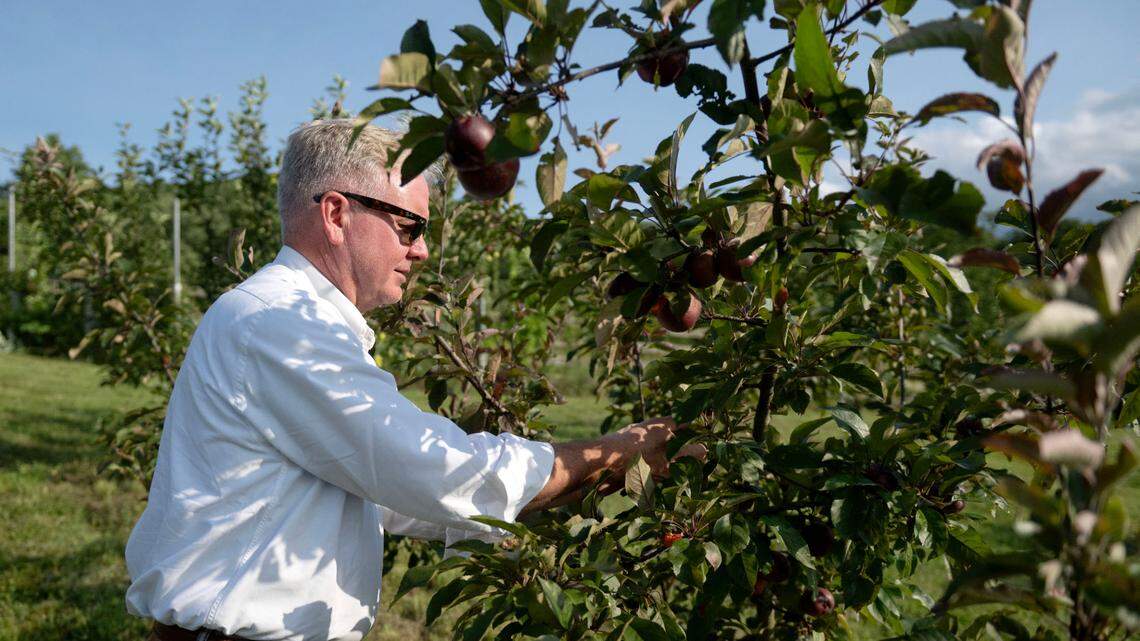 On a centuries-old Centre County farm, cider production is steeped in tradition