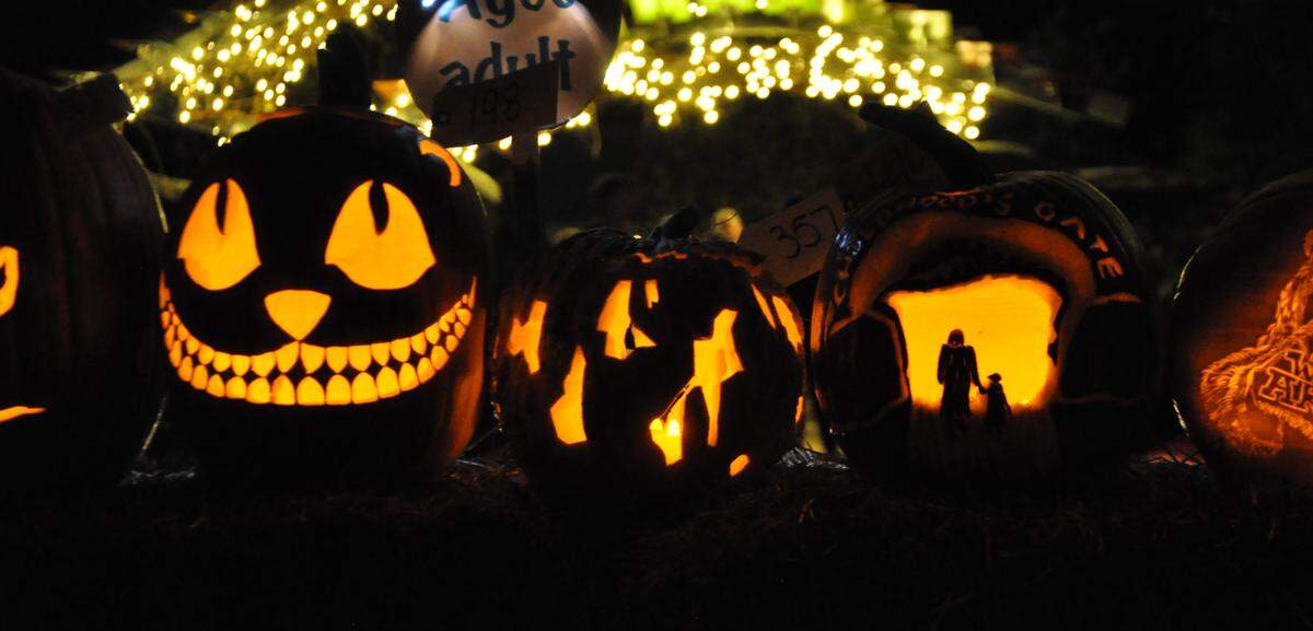 The Arboretum at Penn State will host its annual Pumpkin Festival Oct. 11-12.