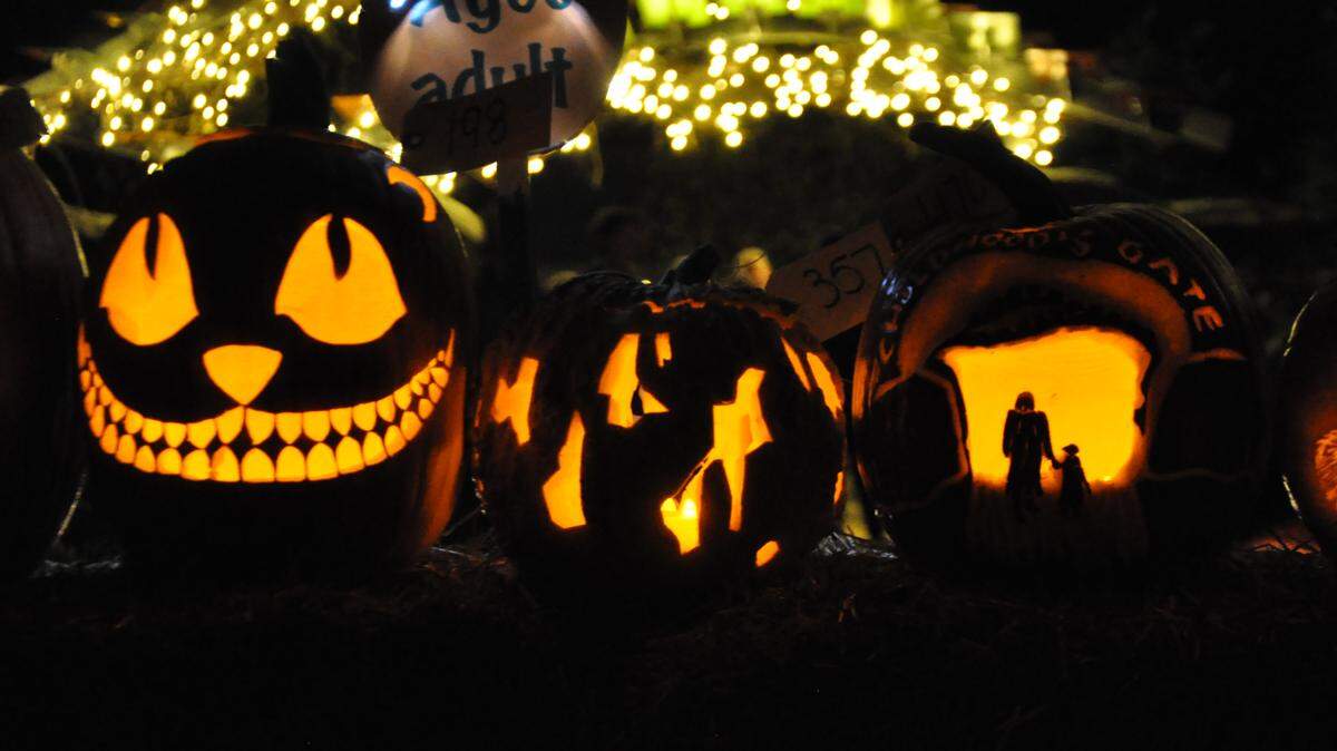 There are plenty of fall festivals and events to keep you busy in Centre County this season, including the Arboretum at Penn State’s Pumpkin Festival, pictured here in a file photo.