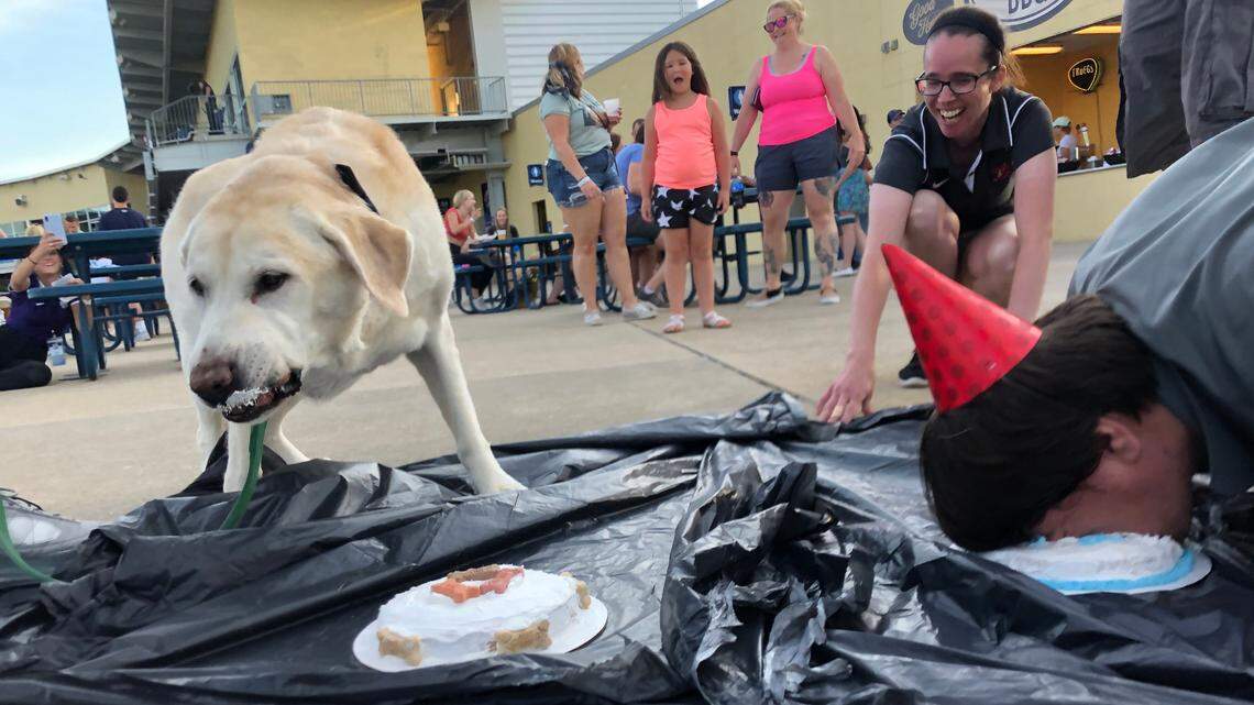 ‘Bob was the best boy.’ State College Spikes announce death of Bob the Baseball Dog