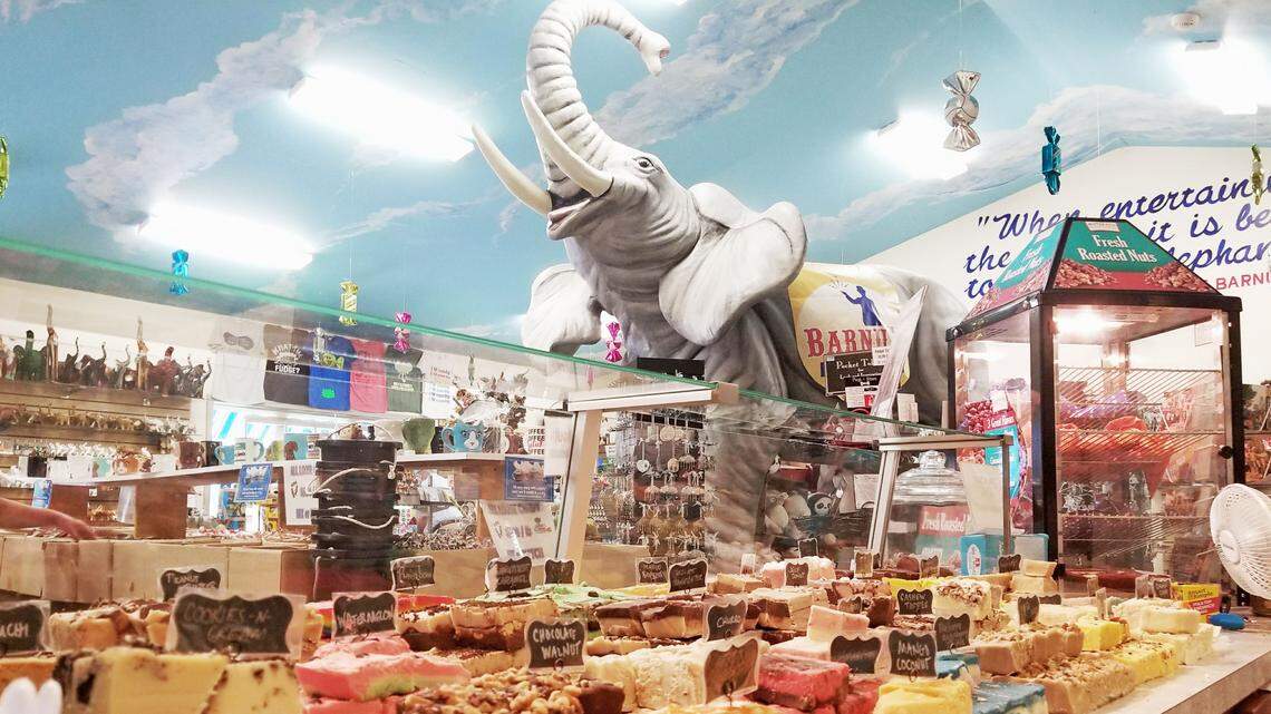 See 12,000 elephants and enjoy homemade fudge at this Pennsylvania roadside attraction