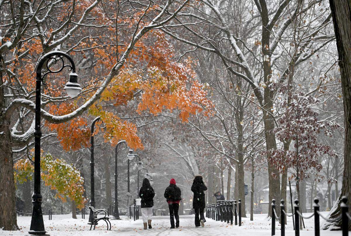 Snow coats the trees Tuesday as students walk along the Allen Street mall on the Penn State campus.