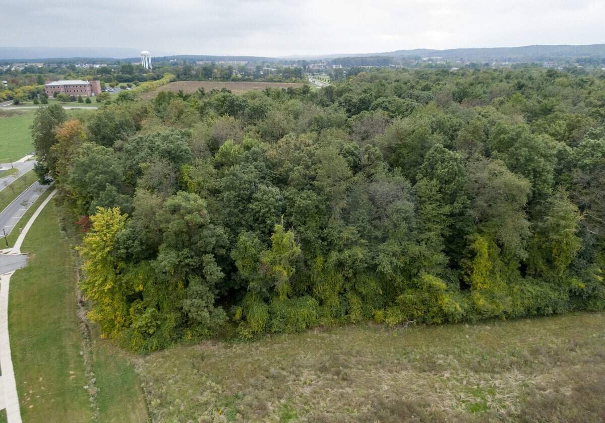 Pine Hall Forest off of Blue Course Drive and Old Gatesburg Road in Ferguson Township is pictured in September 2019. Trees have now been razed at the site by the landowner.
