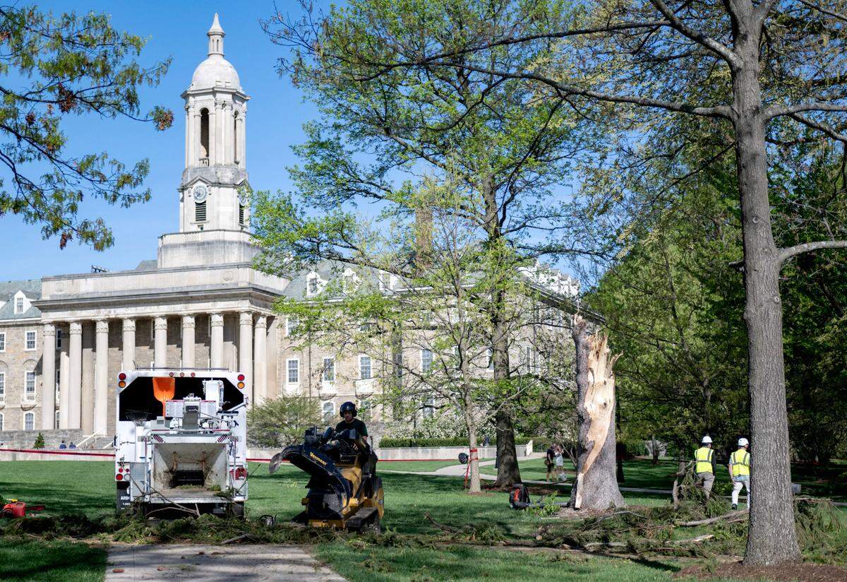 A tree that fell during Tuesday’s storm is cleaned up on Old Main lawn on Wednesday, April 30, 2025.