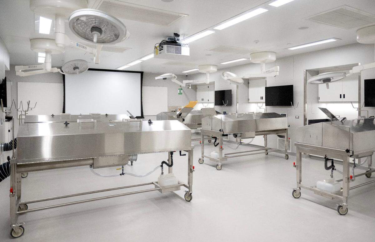 An anatomy lab in the Susan Welch Liberal Arts Building on the Penn State campus on Wednesday, Feb. 19, 2025.