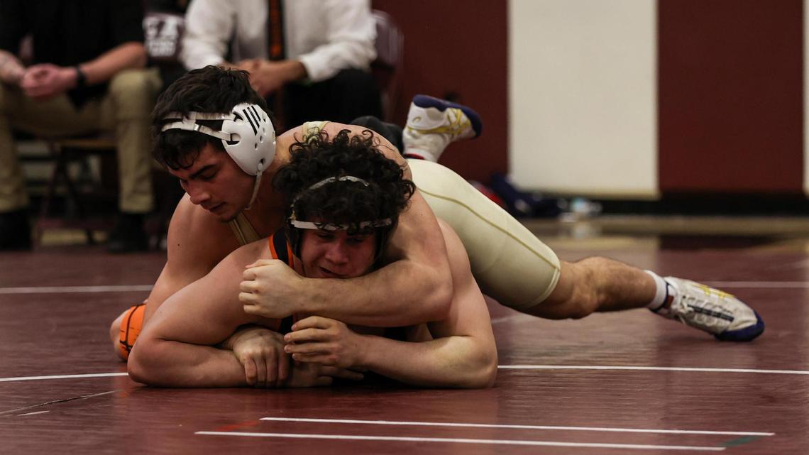 Here’s a look at the 14 Centre County wrestlers set to compete in the PIAA Championships