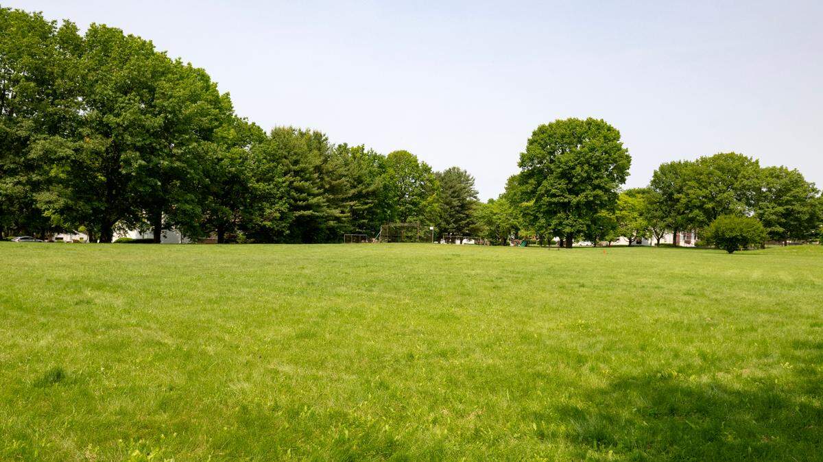 The State College Action Sports Park will be built in High Point Park.