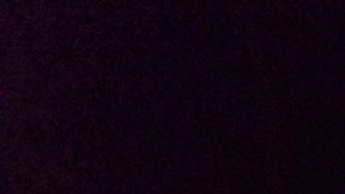 A once-in-a-lifetime hunt leads to a moment of truth for a Bellefonte hunter