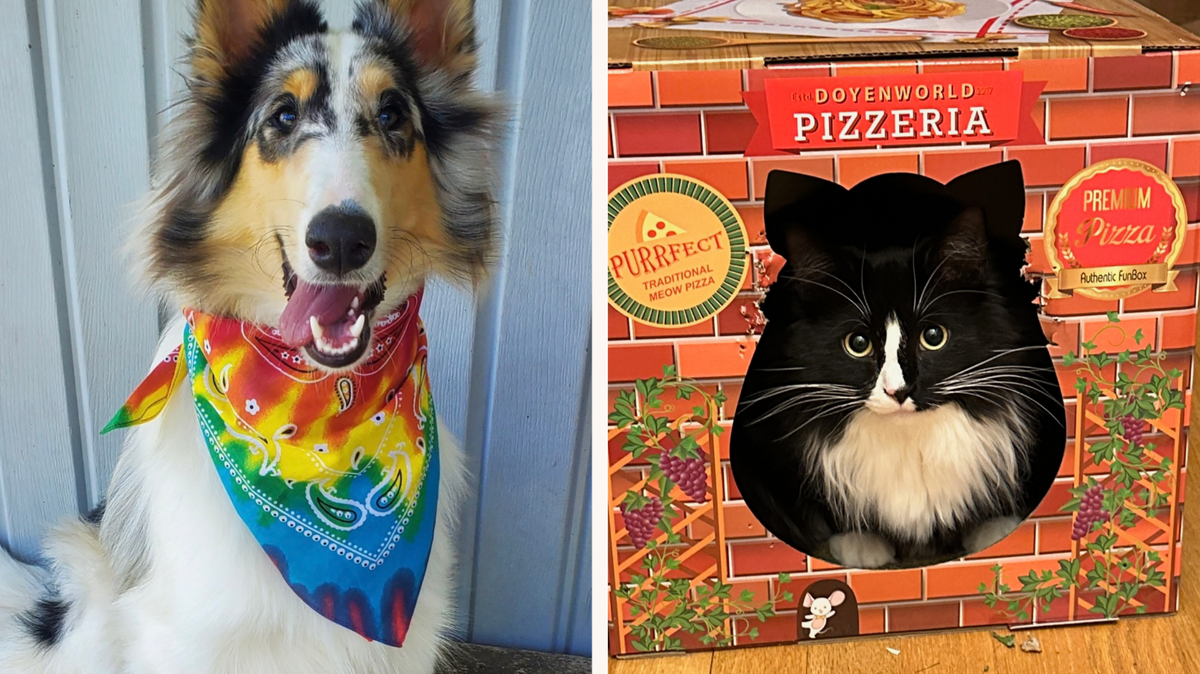 Oakley and Jackie Robinson, the winners of the Centre Daily Times’ 2025 pet contests.