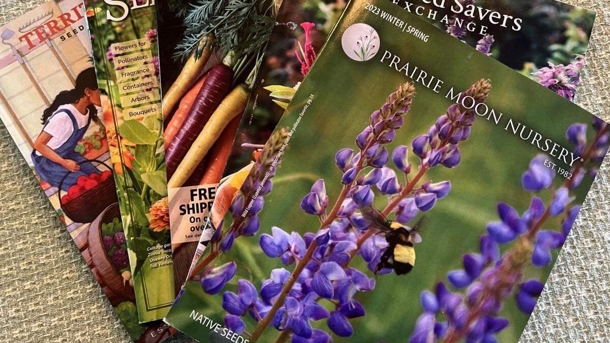 Seed catalogs can help you plan for gardening season.
