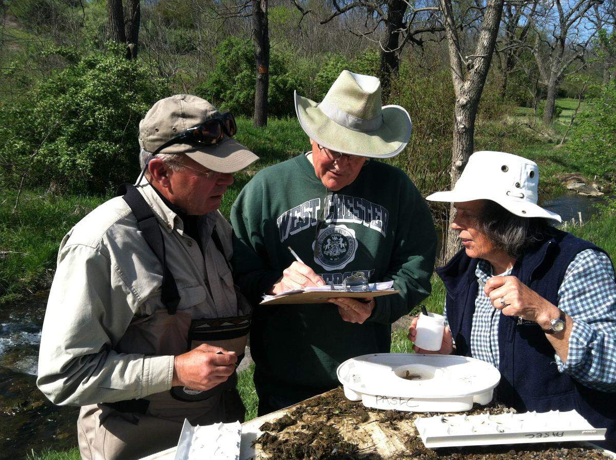 CCPaSEC volunteers log data from a macroinvertebrate study at Buffalo Run.