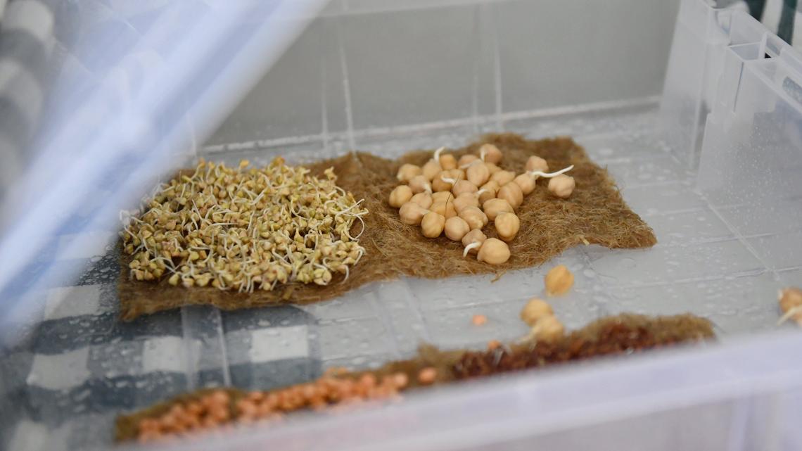 ACRES Project plants the seed for next project to help adults with autism