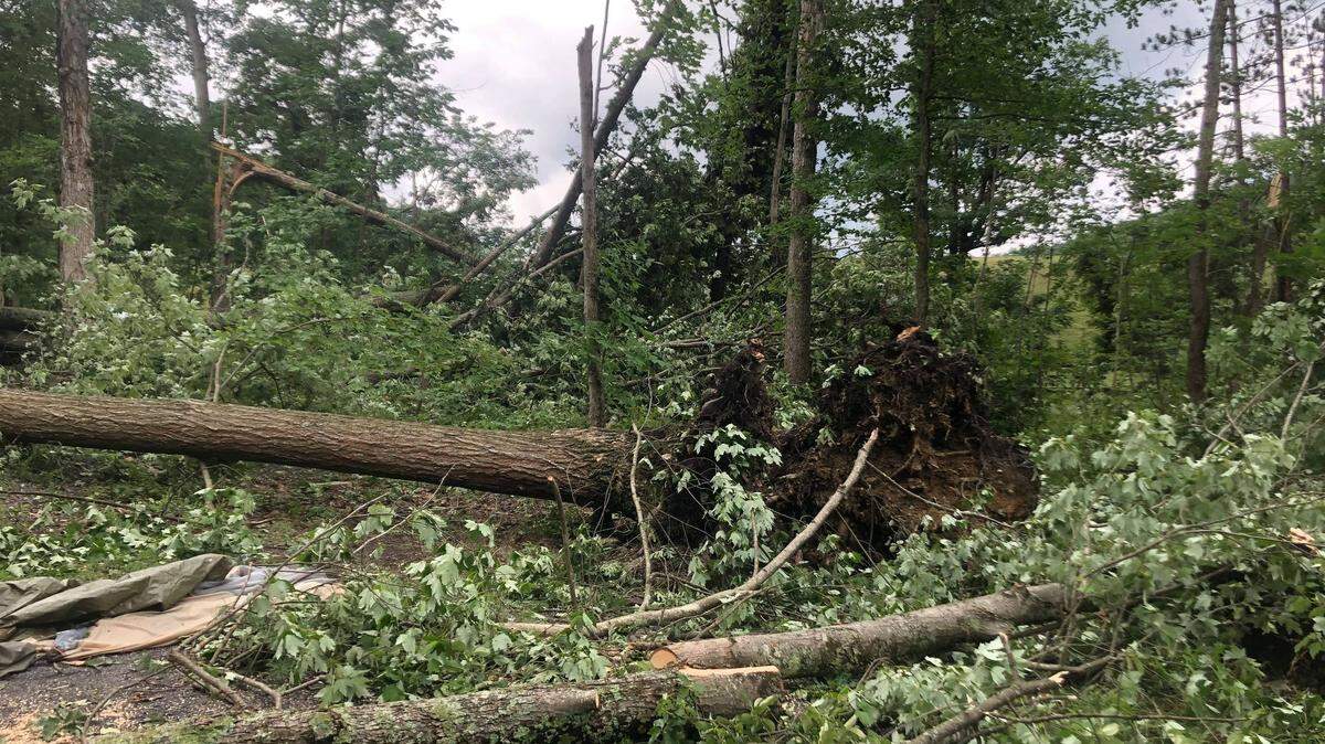 The National Weather Service in State College confirmed that a microburst occurred in Poe Valley State Park at 7:32 p.m. Sunday, July 11, 2021.