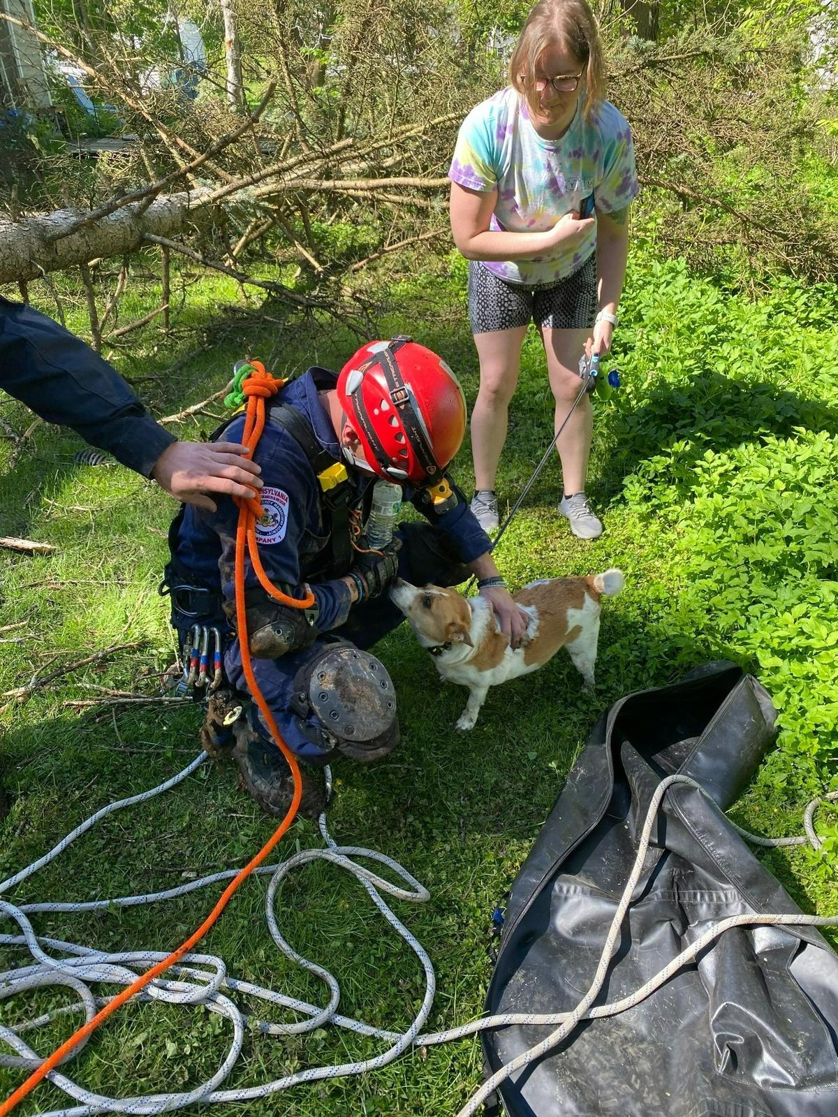 Frederick the corgi greets an Alpha Fire Company firefighter after being rescued from a sinkhole in College Township on Wednesday, May 11, 2022.