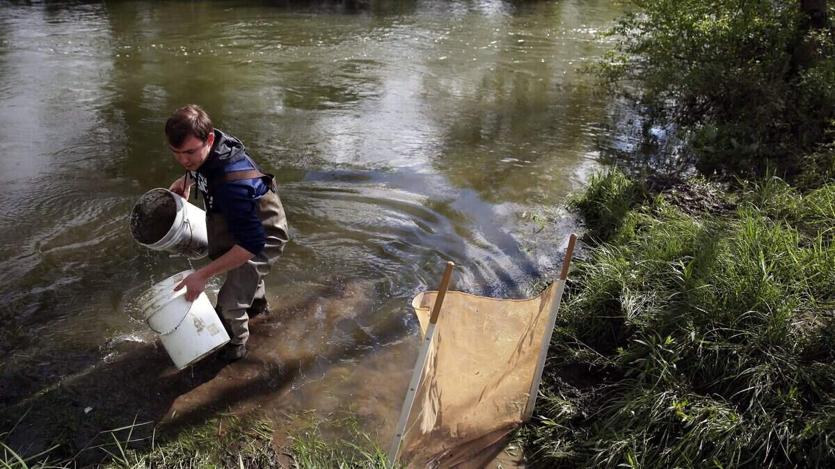 Penn State student Joe Chandler collects buckets of water for a riparian buffer demonstration during Frogfest in May 2017 at Muddy Paws Marsh in Spring Mills.
