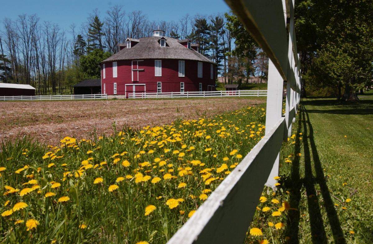 Barn1