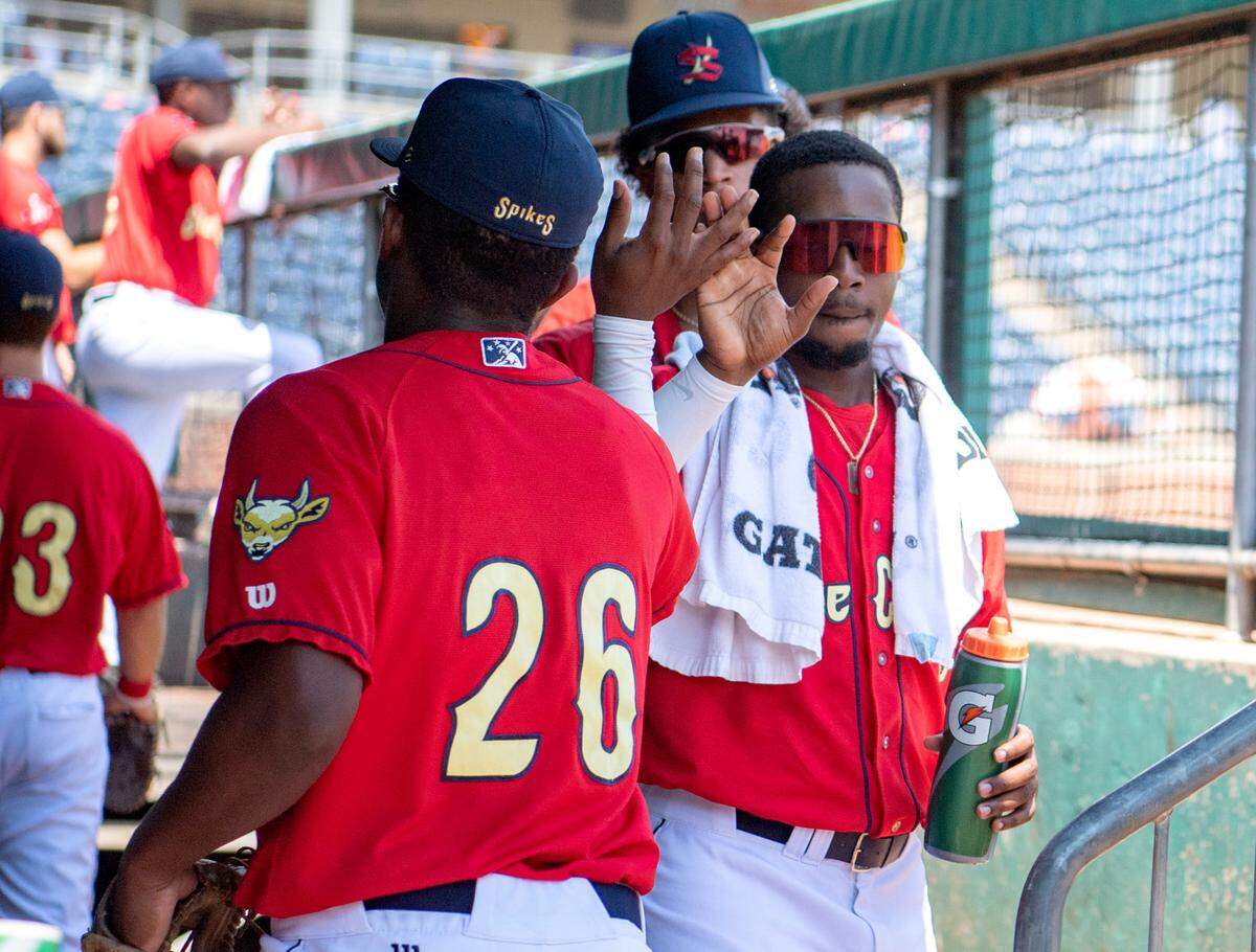 State College Spikes’ DeAndre Shelton high-fives Marques Paige as he comes into the dug out after an inning of the game against the Williamsport Crosscutters on Thursday, Aug. 4, 2022.  
