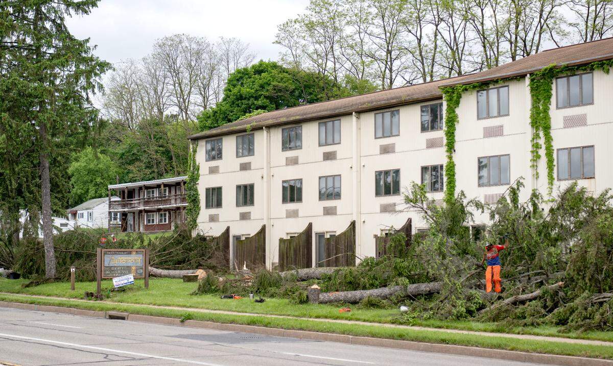 Trees are being cut down on the former Autoport property along South Atherton Street on Friday, May 17, 2024.