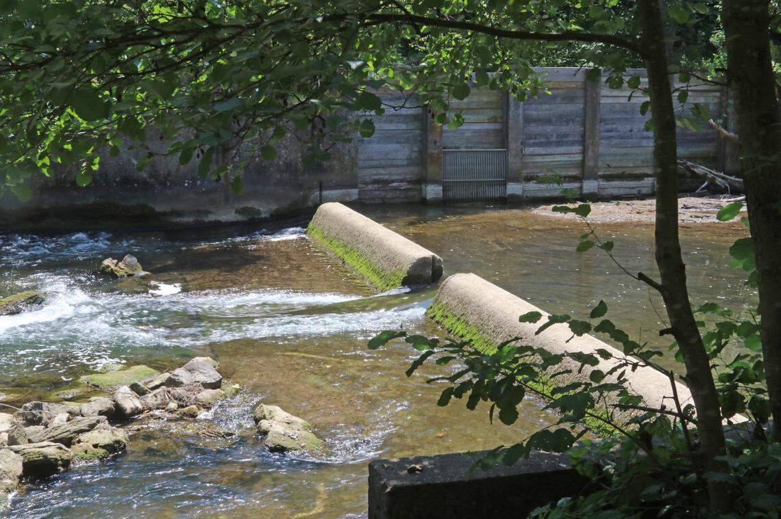 Removal of this unused low head dam along Rock Road will begin on Aug. 5.