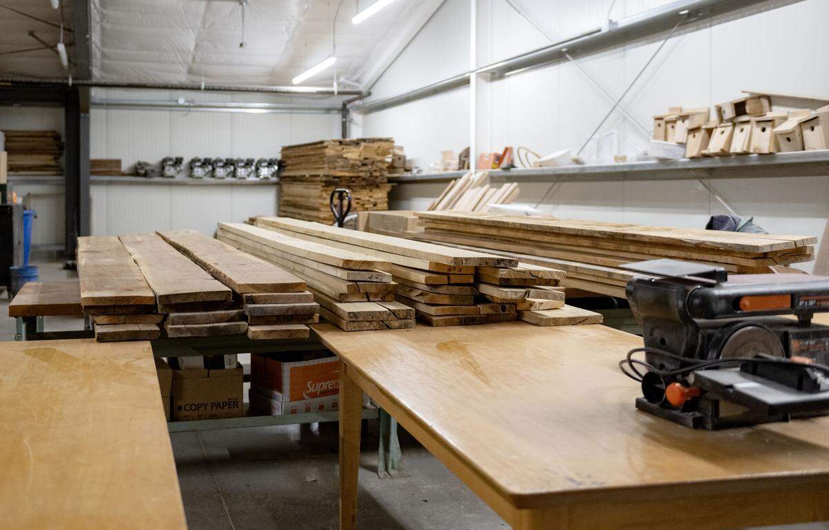 Lumber harvested by students is stacked inside the forestry building on Thursday, Feb. 26, 2026. 