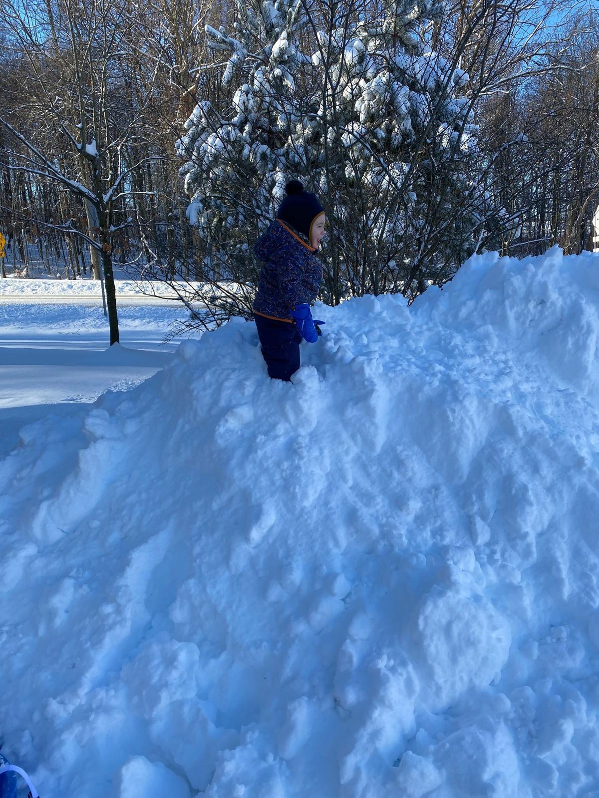 Aidan Alianiello plays in the snow Thursday in Park Forest.