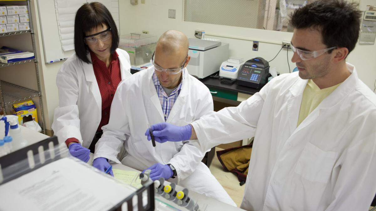 BioMagnetic Solutions is opening a $10 million facility at Innovation Park.