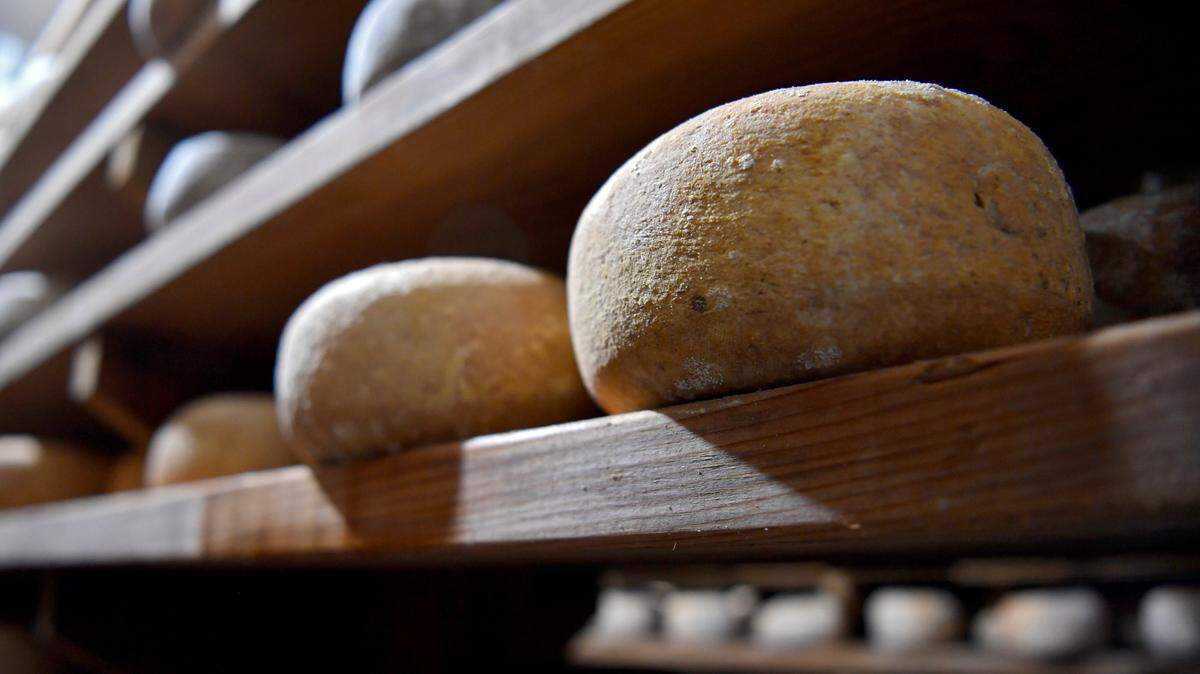 Cheese wheels age in the cheese cave at Goot Essa in Howard on Thursday, Sept. 3, 2020. Goot Essa makes 19 varieties of cheese.
