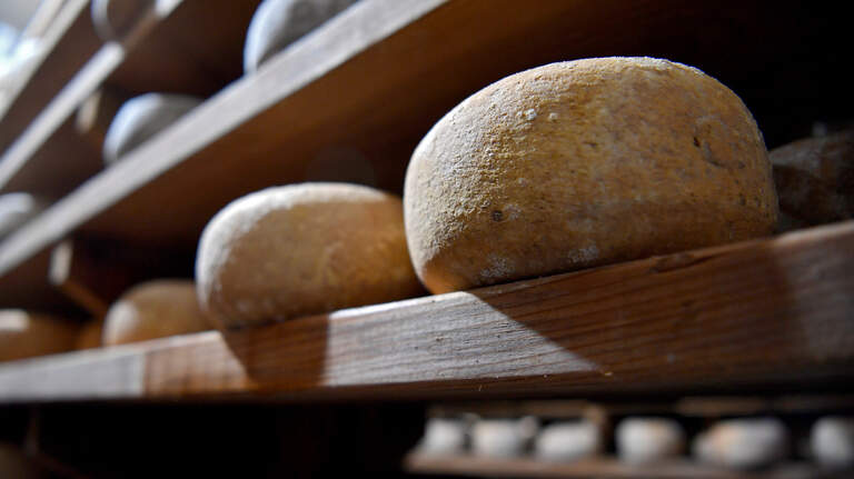 This cave-aged Centre County cheese earned a top-3 finish in national competition