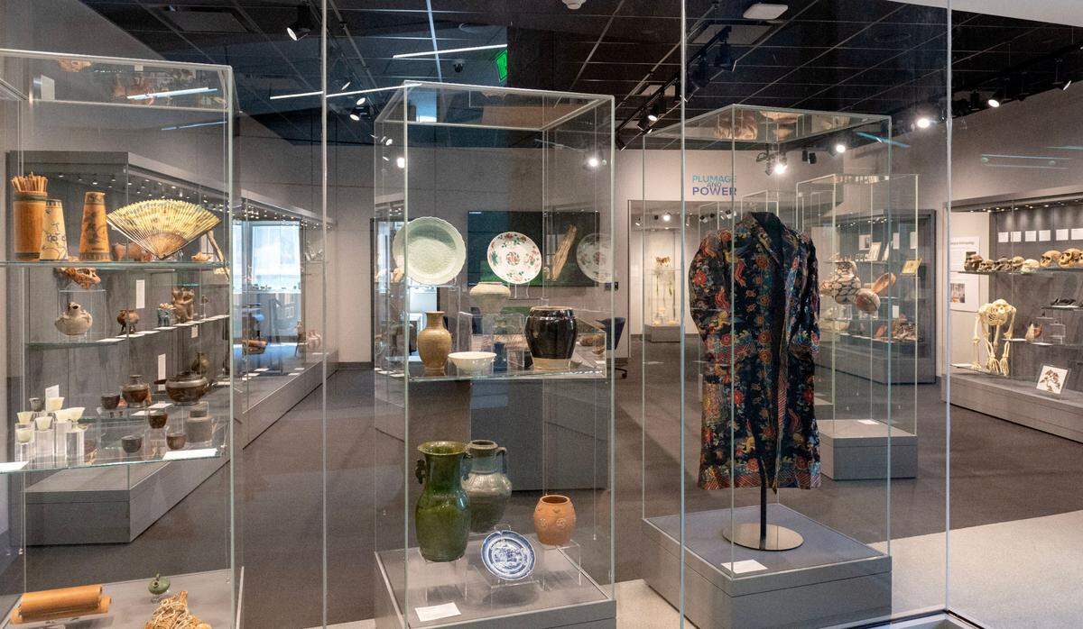 Display cases and a windows invite visitors into the Matson Museum of Anthropology in the Susan Welch Liberal Arts Building on Thursday, May 1, 2025.
