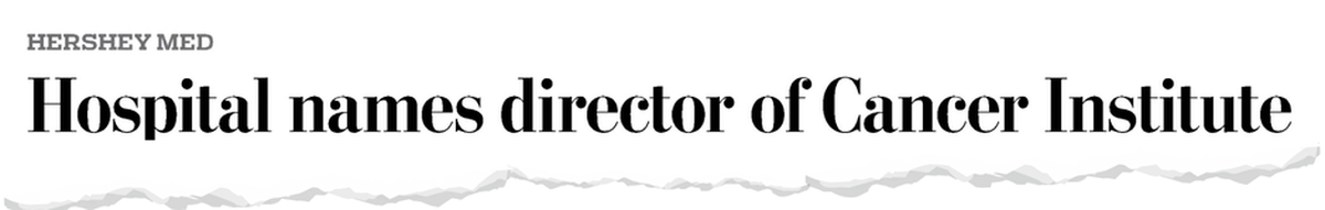 A headline in the Lebanon Daily News on Jan. 27, 2014.