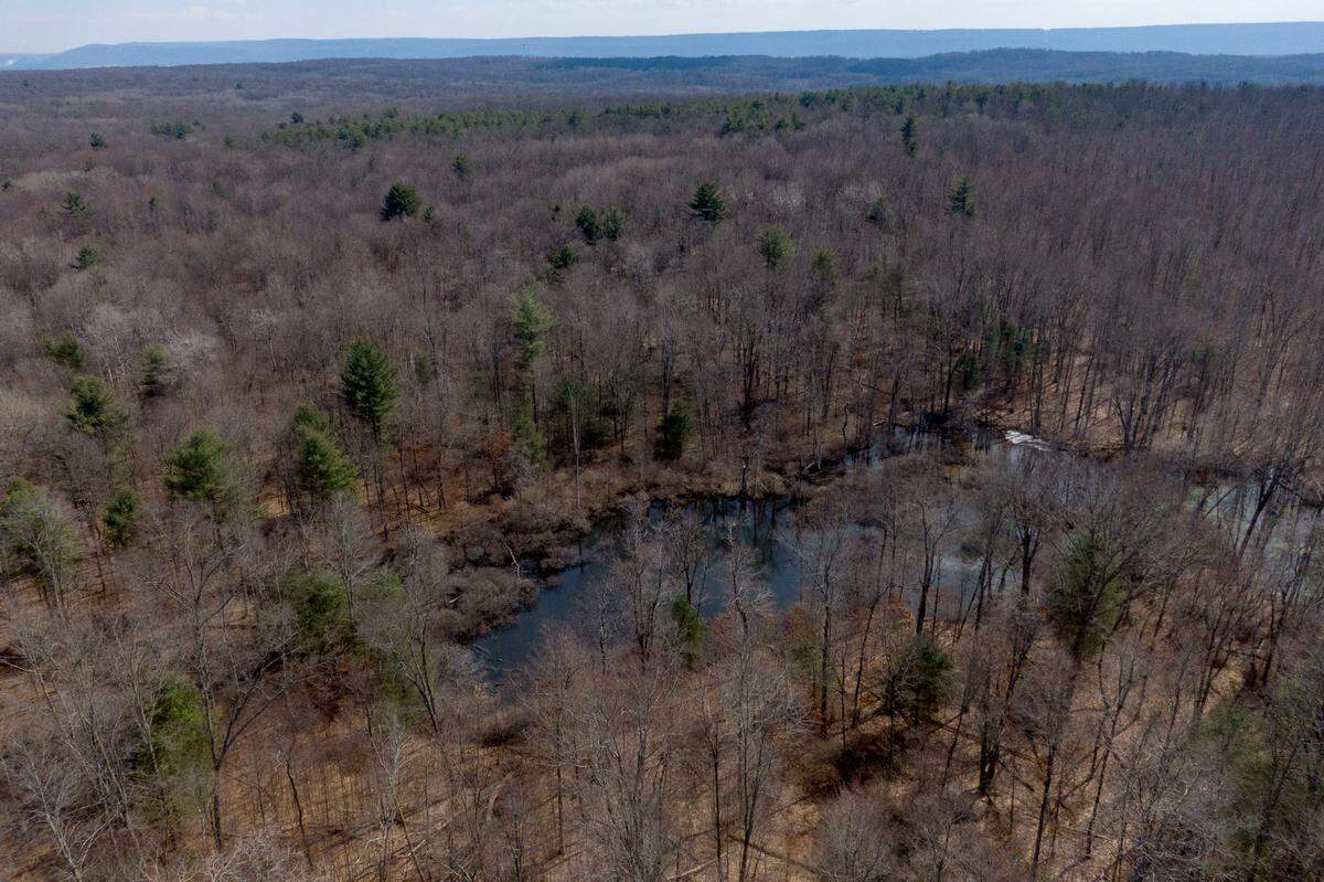 An aerial view of Gray’s Woods Preserve, which connects to Gray’s Woods Park in Patton Township.