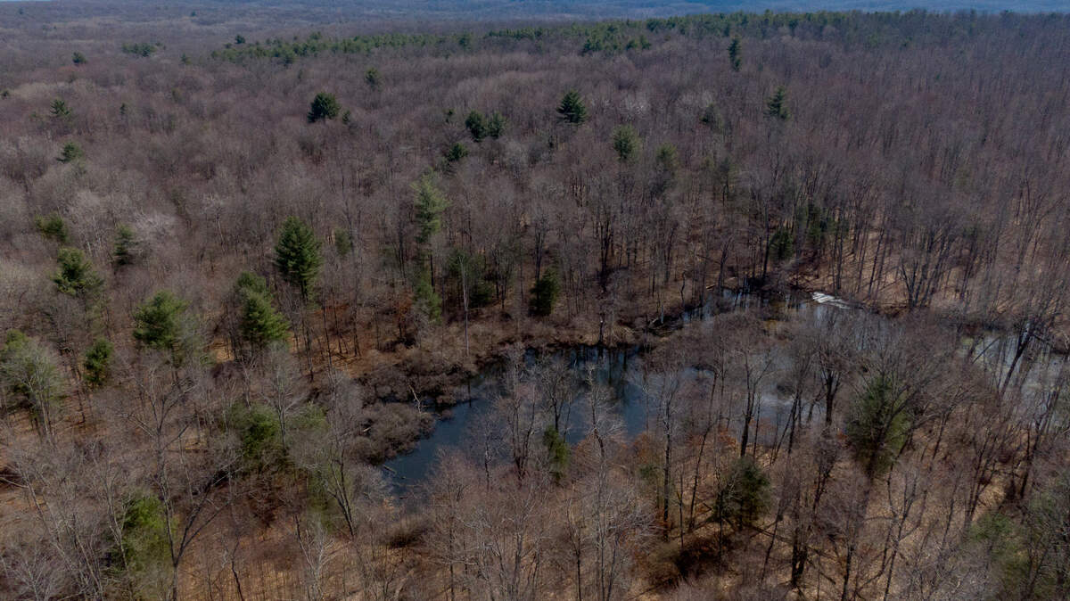 An aerial view of Gray’s Woods Preserve, which connects to Gray’s Woods Park in Patton Township on Friday, March 18, 2022.