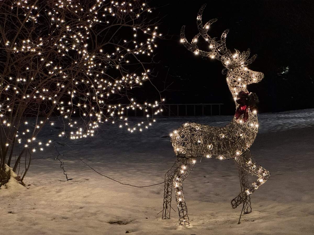 A reindeer decoration stands outside 111 Sheffield St., Philipsburg, on Dec. 3, 2025.