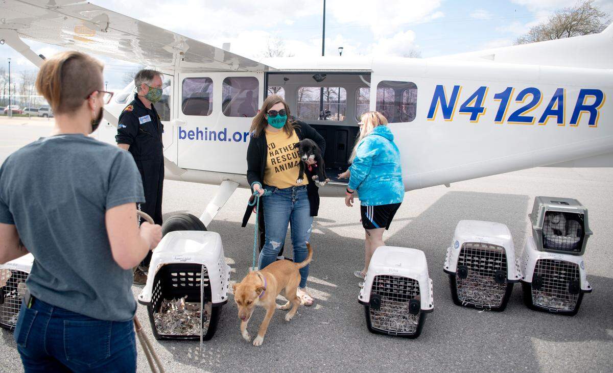 Centre County PAWS volunteers help No Dog Left Behind pilot Pete Lehmann unload the 15 dogs that were flown from South Carolina to the University Park Airport on Tuesday.