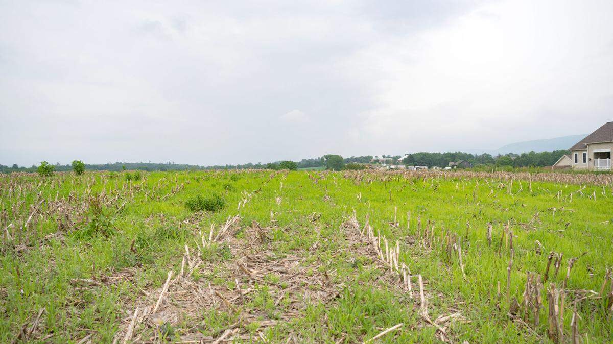 Farmland that sits behind Pleasant Pointe Apartments off of Pleasant Point Drive in College Township is pictured in this file photo.