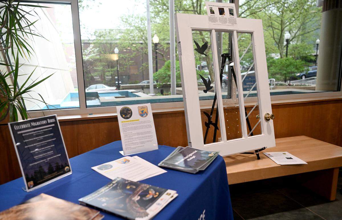 A display at the State College Borough building shows how to deter birds from flying into windows on Friday, April 28, 2023.