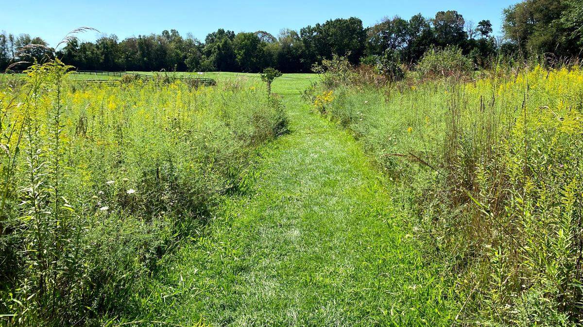 Centred Outdoors wil hold events at Tom Tudek Memorial Park on Sunday.