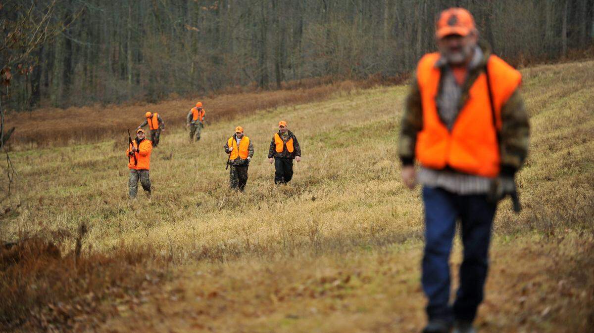 Jeff Unick, right, leads a group of hunters from a Philipsburg hunting club as they walk together trying to push deer in Moshannon State Forest in 2014. Monday is the opening day of rifle deer season in Pennsylvania.