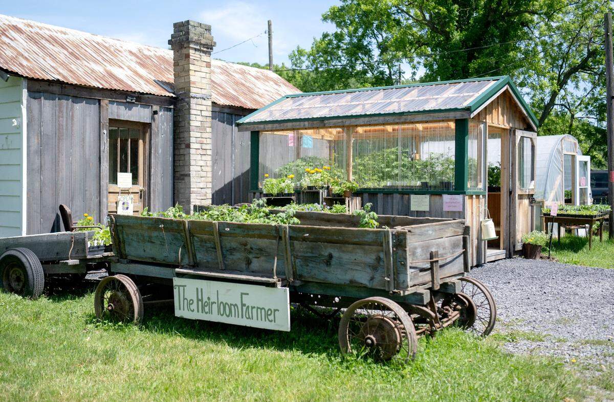The Heirloom Farmer offers plants, vegetables, honey and more at their farm stand.