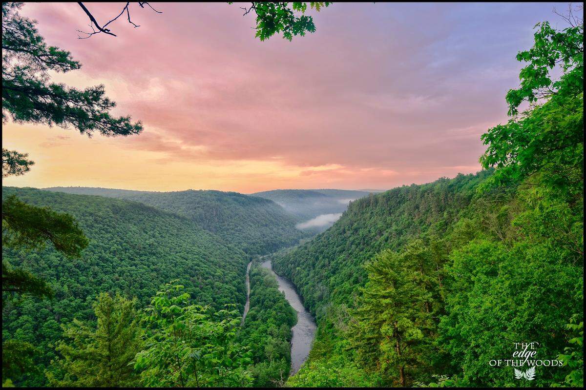 A view of Pine Creek Gorge, also known as Pennsylvania’s Grand Canyon, stretching 47 miles across central Pennsylvania.